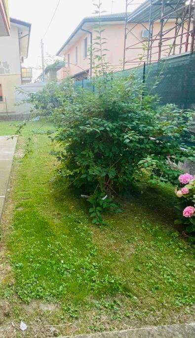 Vila “Casa Alex” A Pochi Km Dal Mare Scardovari Exteriér fotografie
